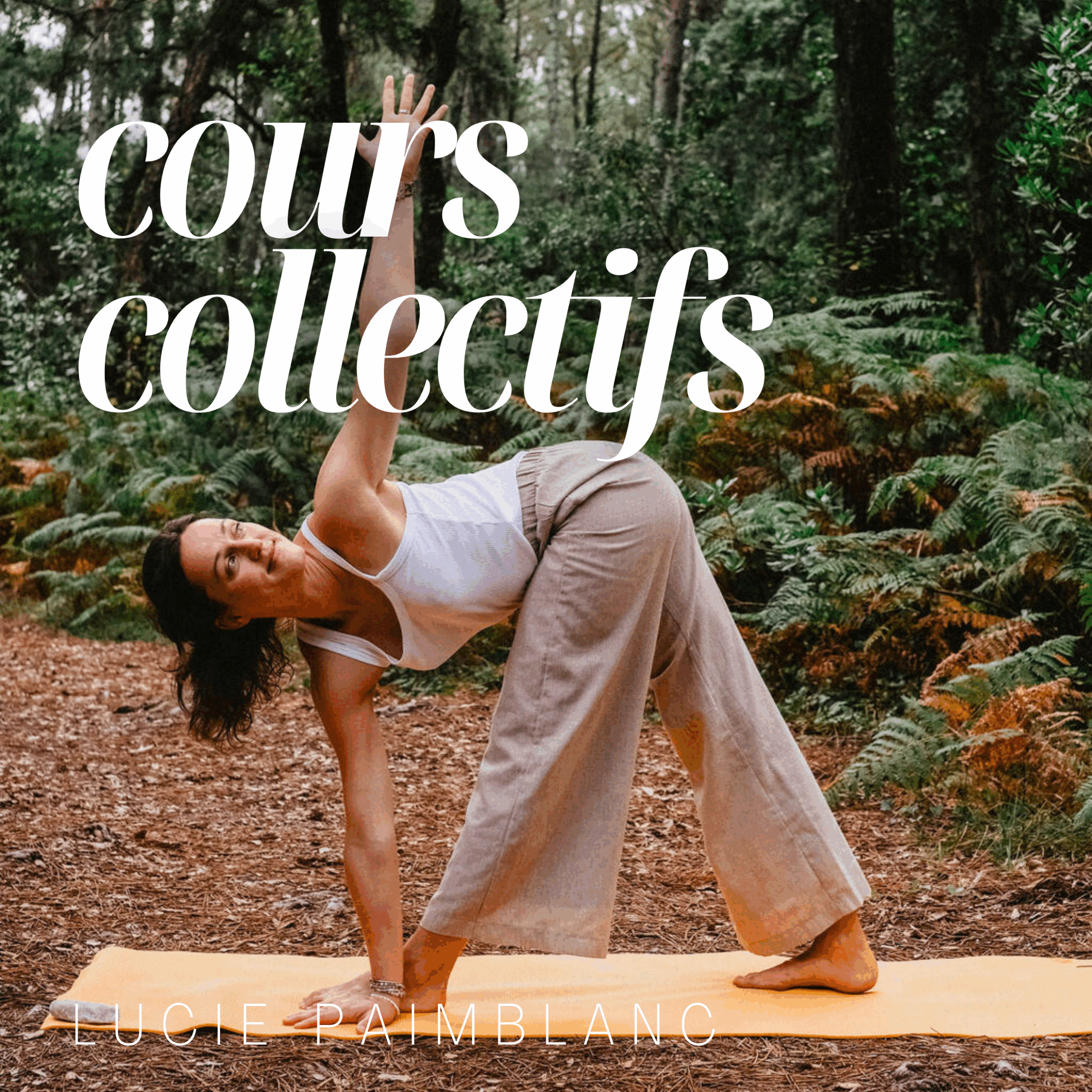 Cours de yoga en petit groupe à Toulouse quartier Rangueil. Hatha et Vinyasa yoga