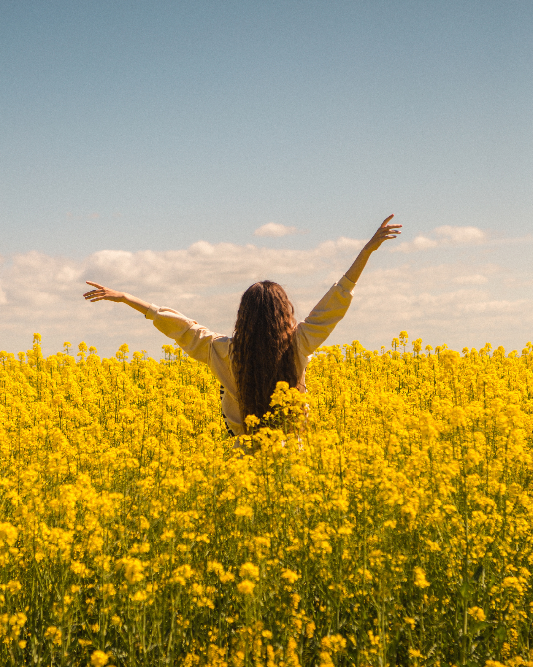 Retraite de yoga "Vision et intention" par Lucie Paimblanc, près de Toulouse