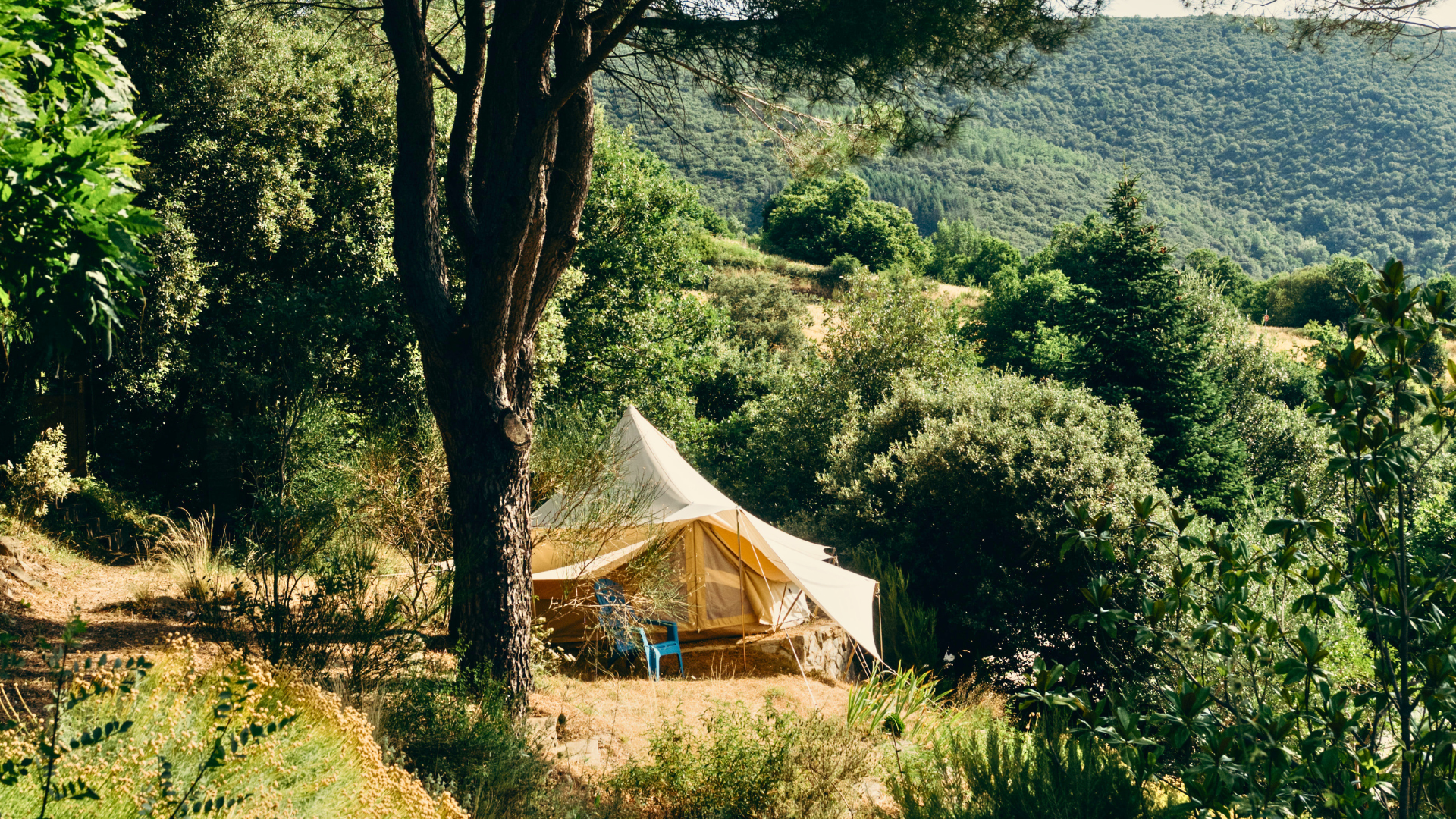 Vacances SUN club : solo, en famille, entre amis, dans la nature et avec des pratiques de yoga
