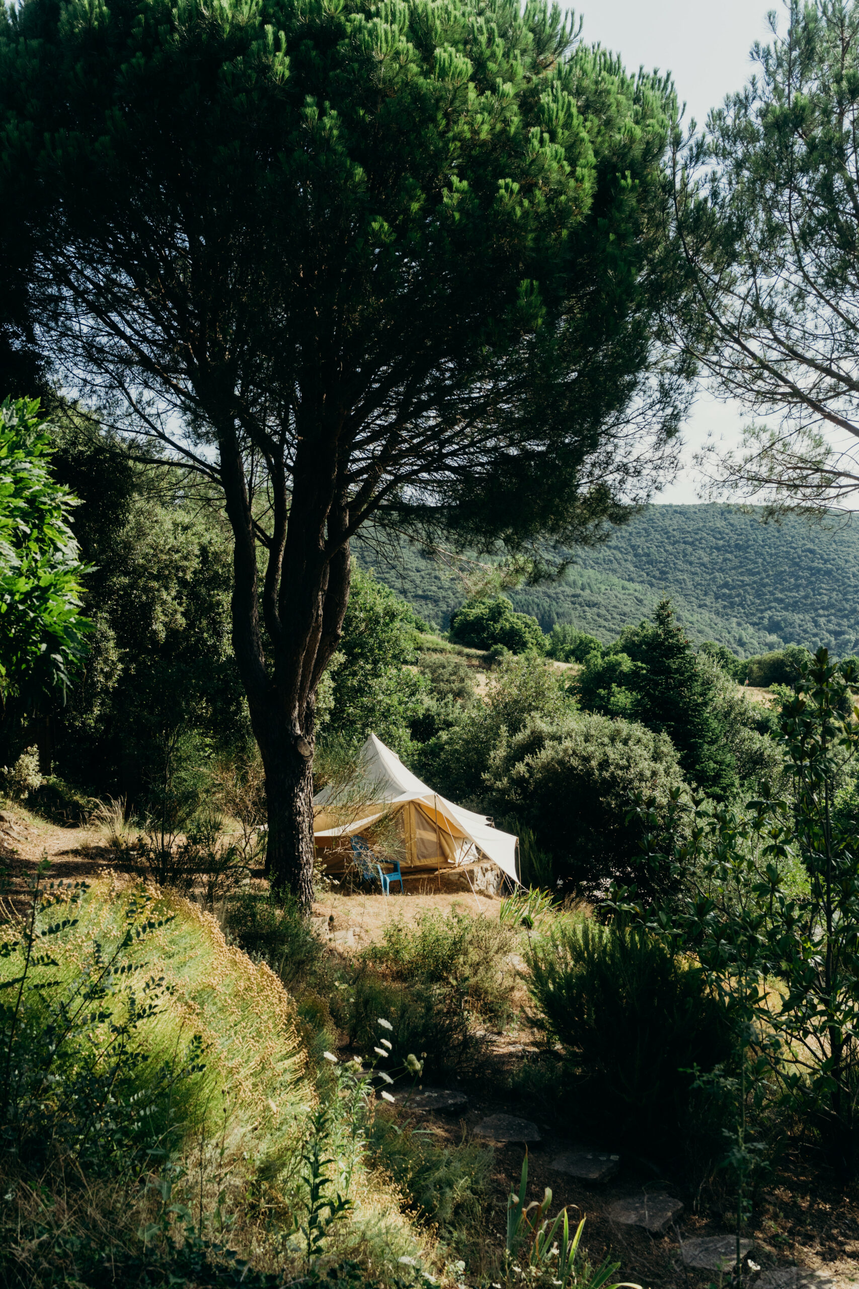 Séjour Nature et Yoga en France - été 2026