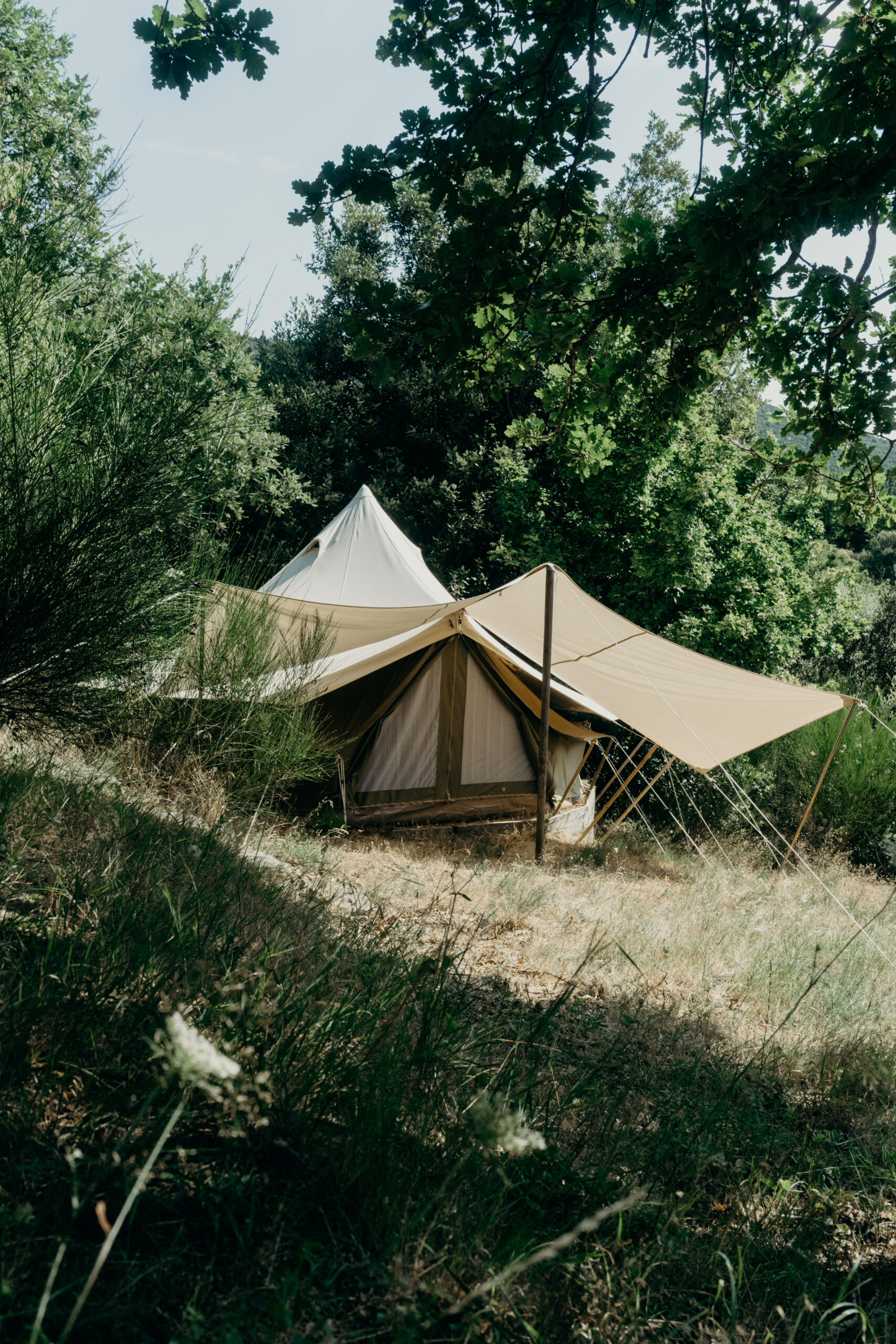 Séjour Nature et Yoga en France - été 2026