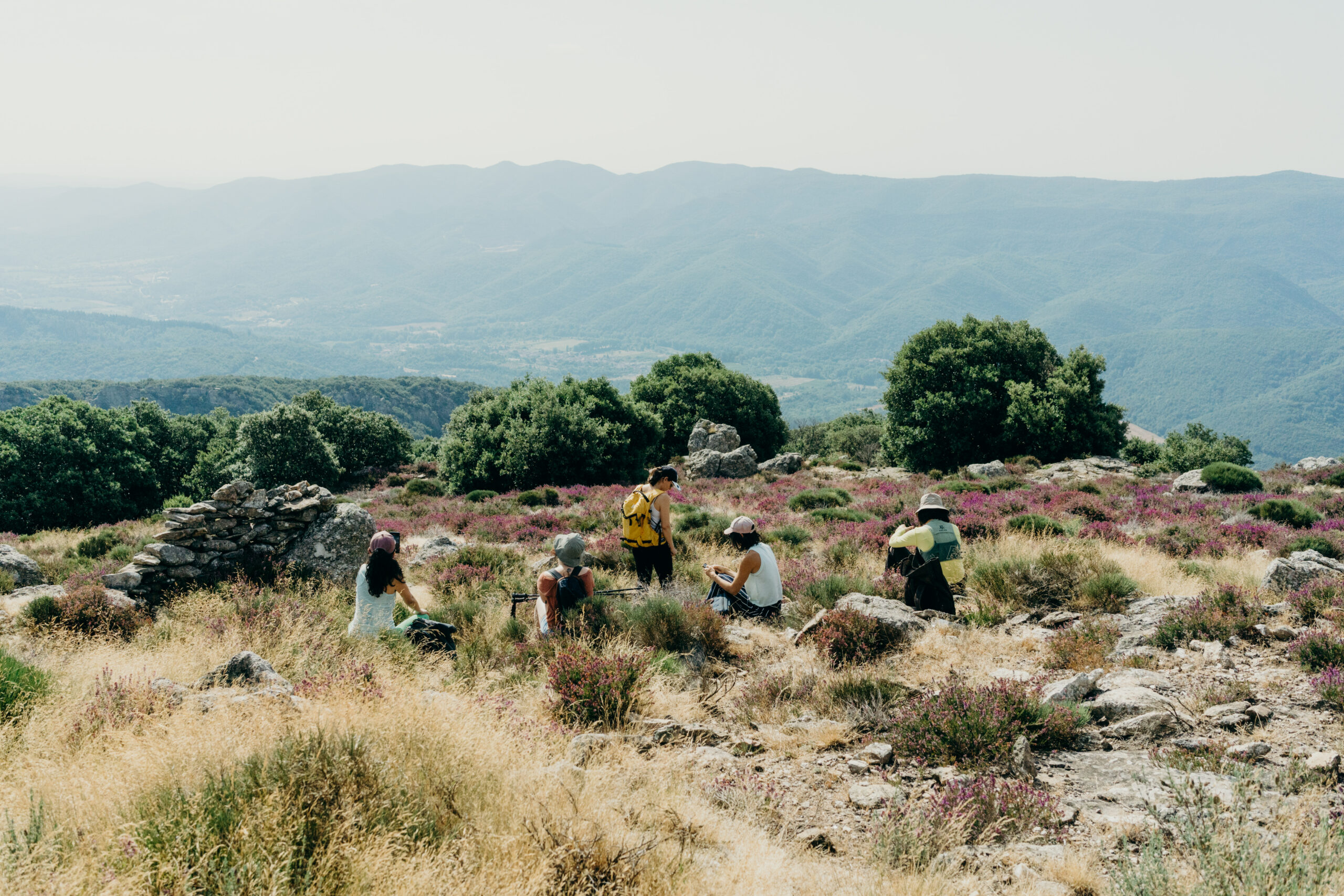 Séjour Nature et Yoga en France - été 2026
